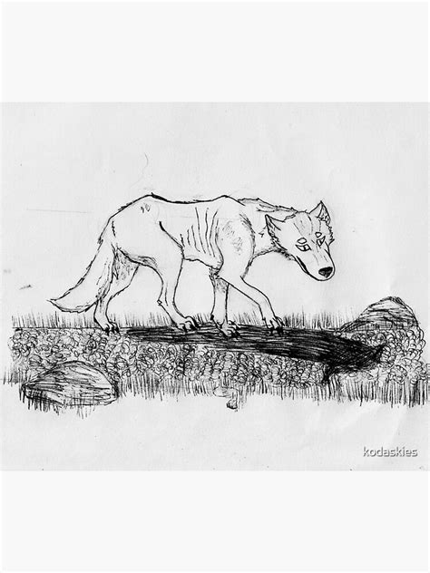 "Wolf walking drawing" Sticker for Sale by kodaskies | Redbubble