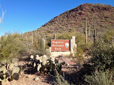 Hike the World: Saguaro National Park: West: Hugh Norris Trail