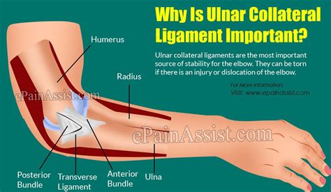 How Is Tommy John Surgery Done & What Is Its Recovery Period? Read ...