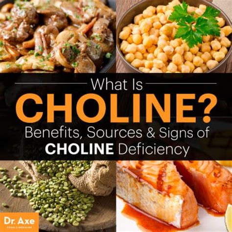 What is Choline? Big Benefits & Signs of a Deficiency - Dr. Axe