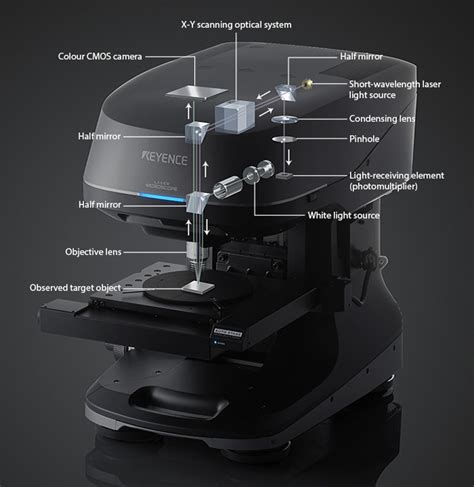 Laser Scanning Confocal Microscopes | Other Microscopes | Microscope Glossary | KEYENCE ...