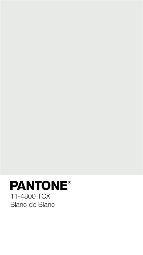 Pantone 11-4800 TCX Blanc de Blanc | Color palette, Pantone colour ...