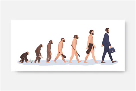 Human evolution stages | People Illustrations ~ Creative Market