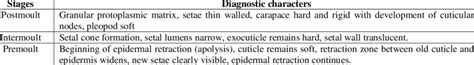 Characteristics of moulting cycle stages in M.affinis | Download Scientific Diagram