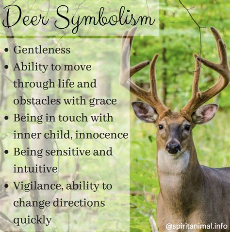 Deer Spirit Animal | Deer Totem Meaning | Animal totem spirit guides ...