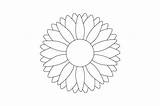 Blooming Sunflower Coloring Book For Kids SVG Cut  By Creative sketch template