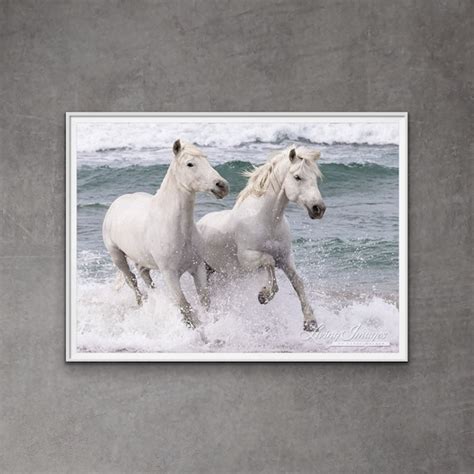 Horse Photography White Camargue Horse Print two White | Etsy