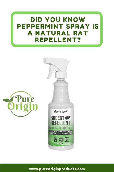 Rodent Repellent Peppermint Spray - 16 oz | Peppermint spray, Rodent ...