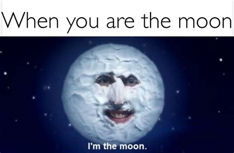 Here comes the moon : memes