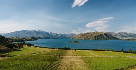 Rippon Vineyard & Hall | Explore | Wanaka Official Website