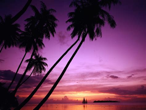 Paradise Sunset Wallpapers - Wallpaper Cave