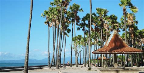 Pantai Lasiana Kupang | Pesona Keindahan Alam Indonesia