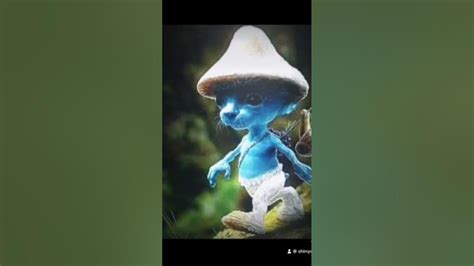 #smurfcat - YouTube