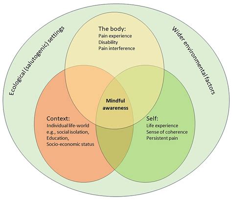 Frontiers | Perspective on salutogenic approaches to persistent pain with a focus on mindfulness ...