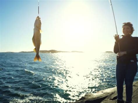 Experience real Norwegian fishing tradition · Bergen Fishing