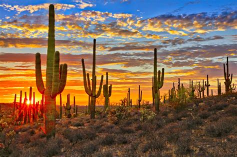 Five National Parks To Visit On The Ultimate Southwestern Desert Road Trip