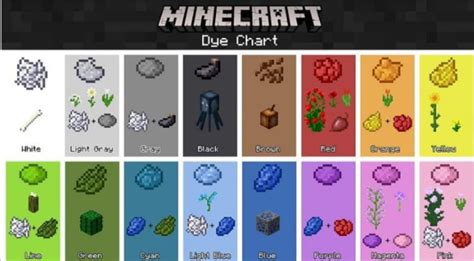 All about Minecraft Dyes and how to get them - BrightChamps Blog