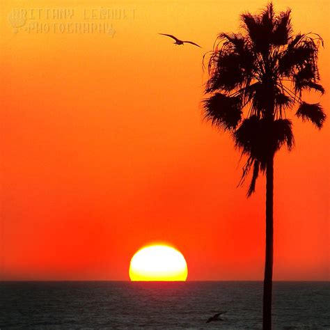 Sunset on Venice BeachCA Nov13 by brittymon37 on DeviantArt