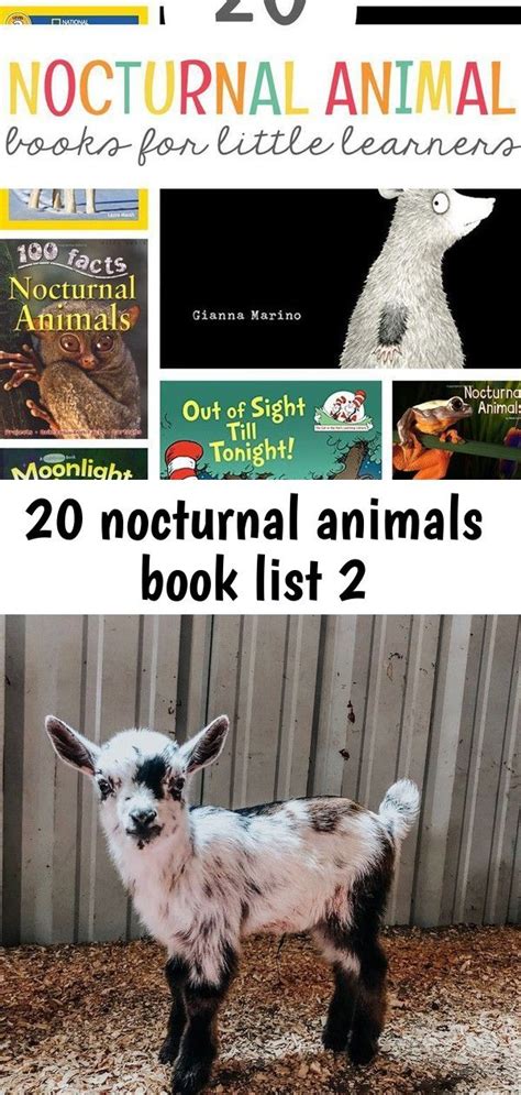 20 nocturnal animals book list 2 | Animal book, Animal books, Nocturnal animals