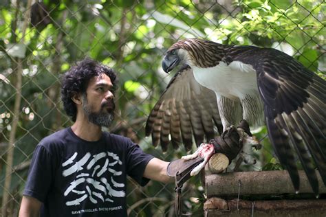 Philippine Eagle Size