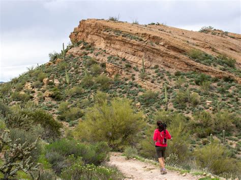 Black Mesa Hiking Trail Loop: Beauty and quiet in AZ's Superstition Mtns.