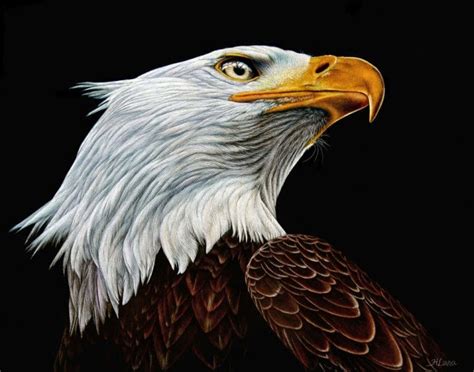 Incredible and Realistic Animal Paintings by Heather Lara - Fine Art and You