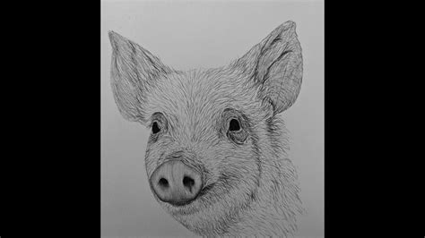 How To Draw A Pig Step By Step - YouTube