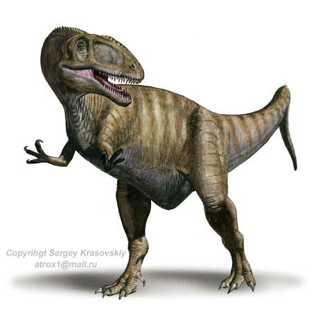 Eocarcharia Pictures & Facts - The Dinosaur Database