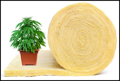 US Government Funding Research on Hemp Fiber Insulation as an Eco-Friendly Alternative