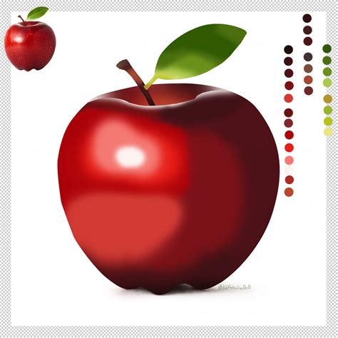 Intro to Photoshop: Digital Painting of An Apple on Behance