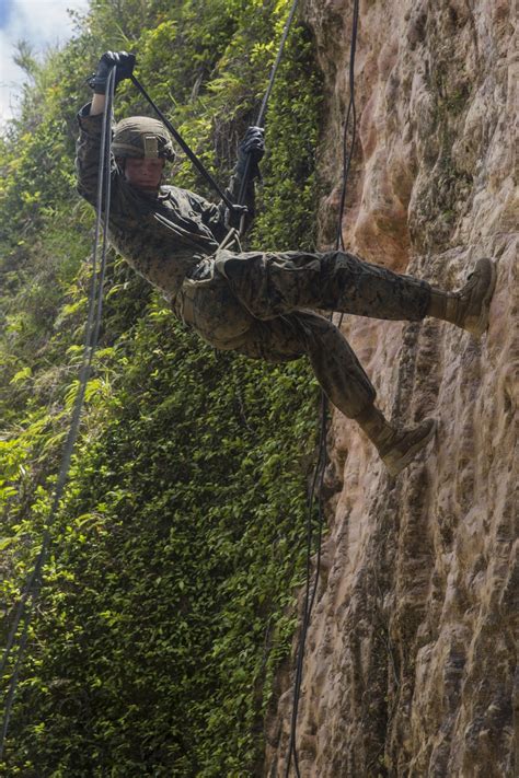 DVIDS - Images - ‘Retreat, Hell!’ Marines complete Okinawa jungle ...