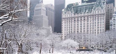 Luxury Hotel Near Central Park | 5 Star Hotel in NYC | The Plaza Hotel