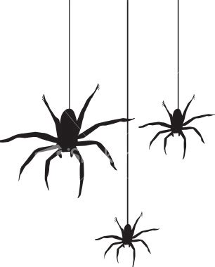 Spiders Web Clip Art - Cliparts.co