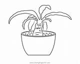 Small Plant Coloring Page For Kids  Free Plants Printable sketch template