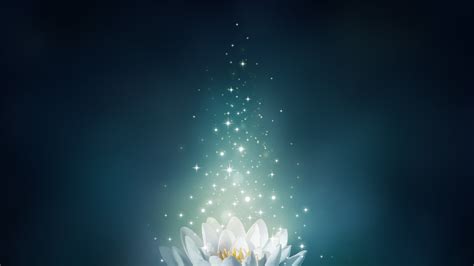 White Lotus Flower Illustration Lights Sparkle Bloom 4K HD Soft ...