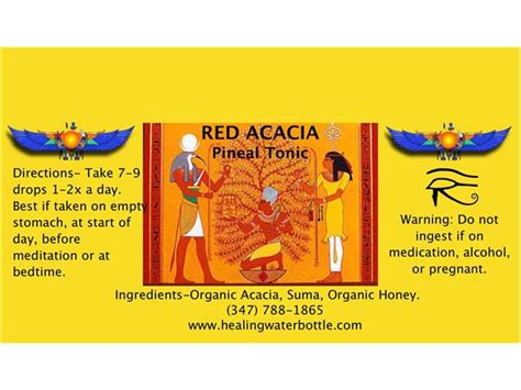 Ancient Egyptian Herbs of Power, Mushrooms and Acacia, Kilindi & KT ...