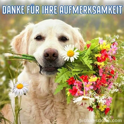 Danke für eure aufmerksamkeit bild Hund und Blumen