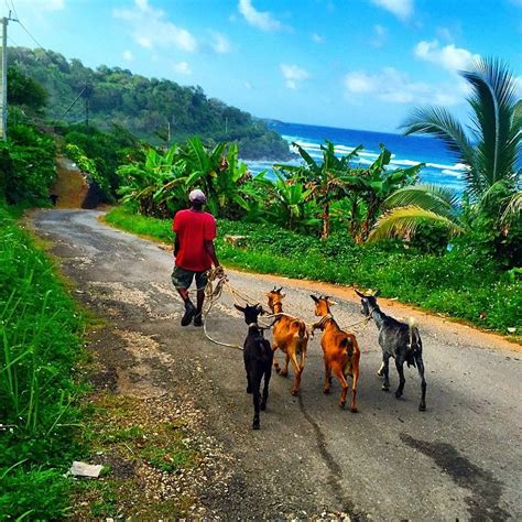 Squad at Negril Beach, Country Life at Rural Hill, Blue Hole - This ...