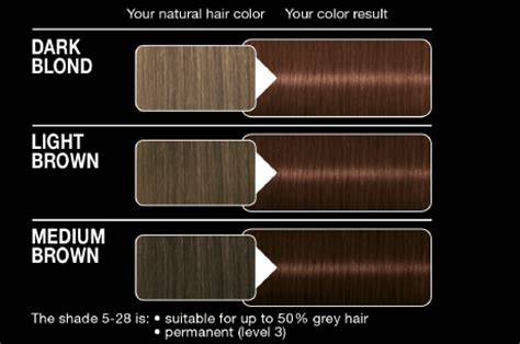 Syoss Hair Color Instructions