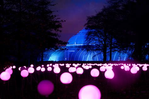 Christmas 2016 at Kew Gardens in London: Mile-long trail illuminated with more than 60,000 lights