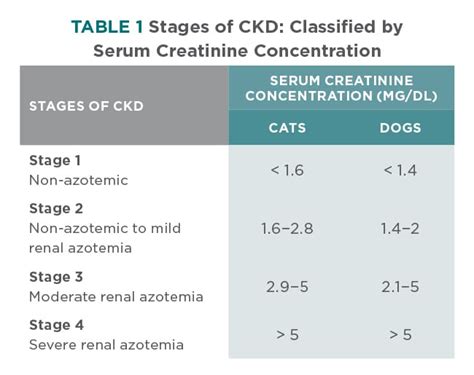 Kicking the Stuffing Out of Kidney Disease! - Victory Animal Hospital ...