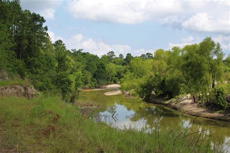 Little Cypress Creek Preserve | Bayou Land