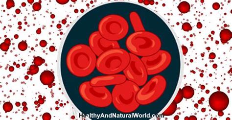 RDW Blood Test: What It Means and What It Tells About Your Health