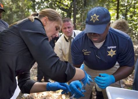 Hammond police officers, some a little squeamish, learn how to use insects to investigate murder ...