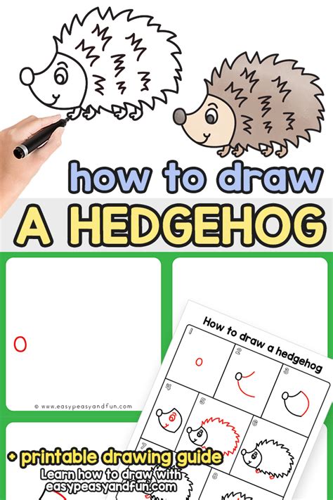 Hedgehog Drawing