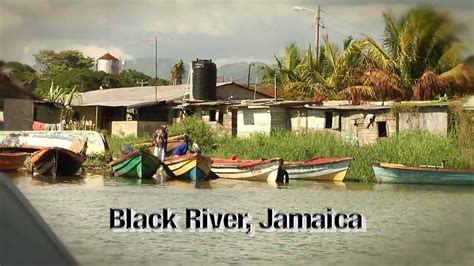 Black River Safari, Jamaica - YouTube