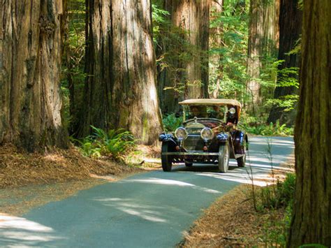 Things To Do in Humboldt County | Attractions & Landmarks | Discover Southern Humboldt