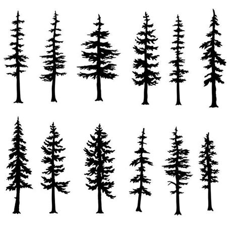 Evergreen Tree Silhouette