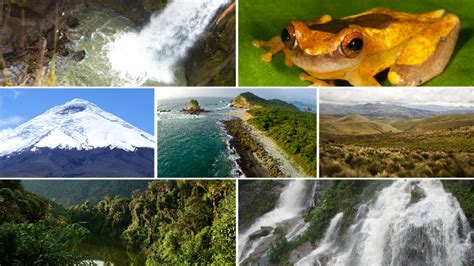 14 Parques Nacionales: símbolo de conservación de los ecosistemas del ...