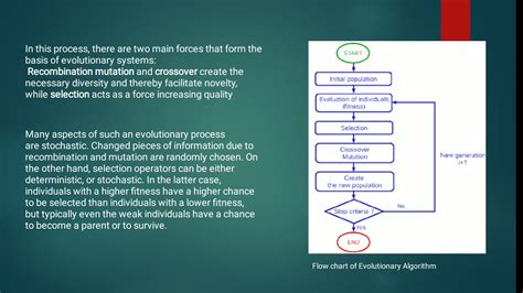 Evolutionary Algorithms - YouTube